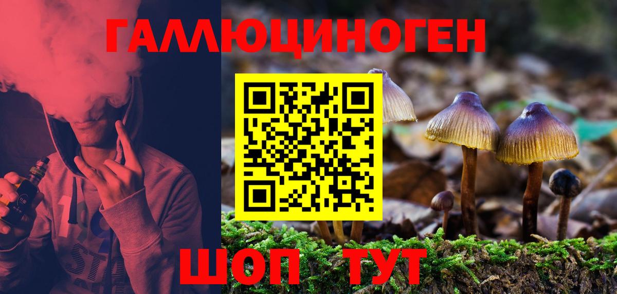 Галлюциногенные грибы Psilocybine cubensis Алушта