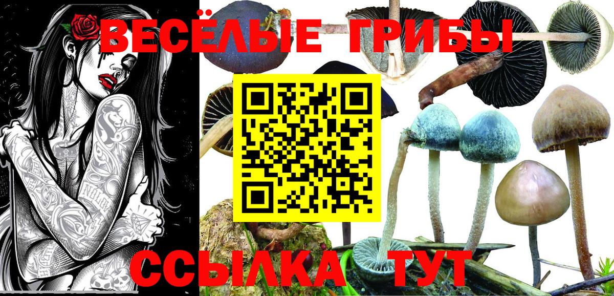 Галлюциногенные грибы мухоморы  Вход с VPN  Алушта  Псилоцибиновые грибы прущие грибы 